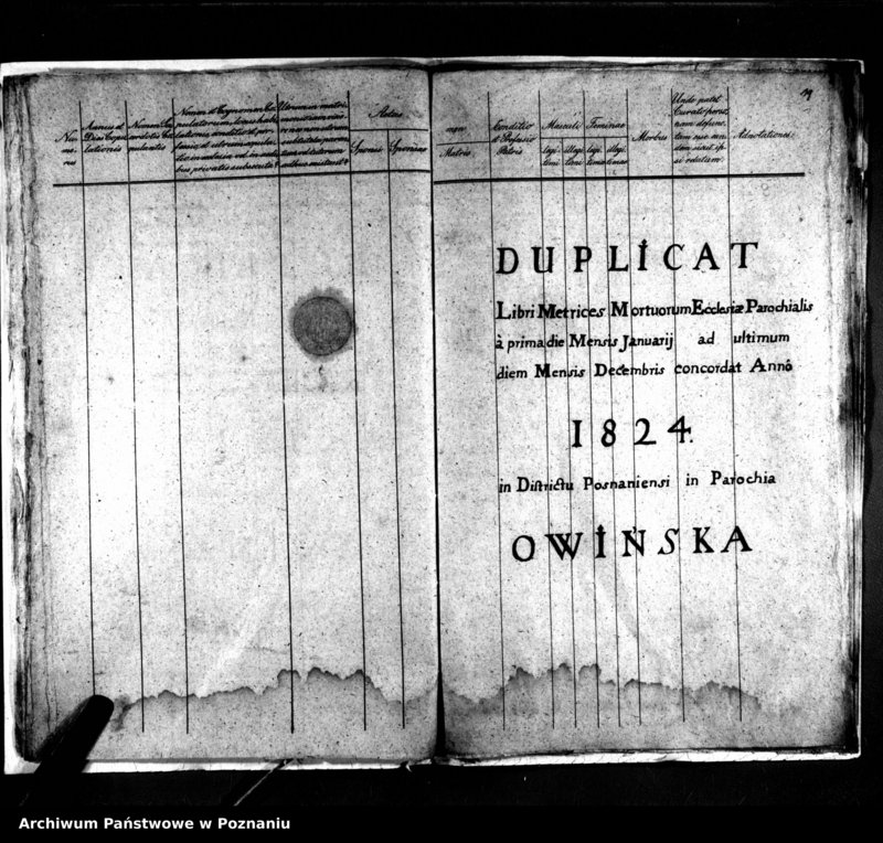 Obraz 13 z jednostki "Duplikat natorum, copulatorum, mortuorum"