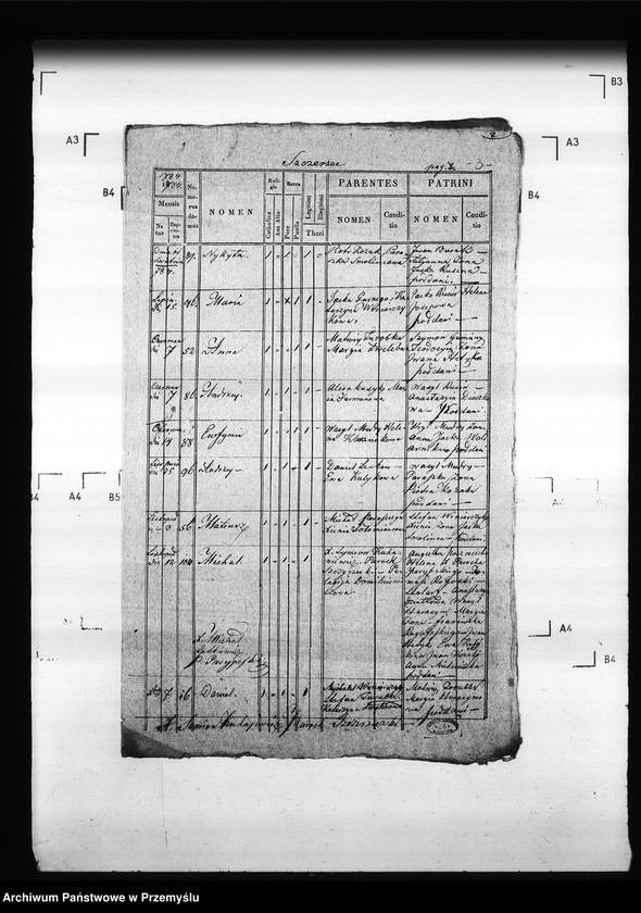 Obraz 8 z jednostki "[Kopie ksiąg metrykalnych parafii Szczerzec z filią Parypsy (dekanat Niemirów)]"