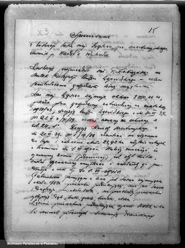 Obraz 20 z jednostki "/Majętność leśna Wąsowo w powiecie nowotomyskim/"