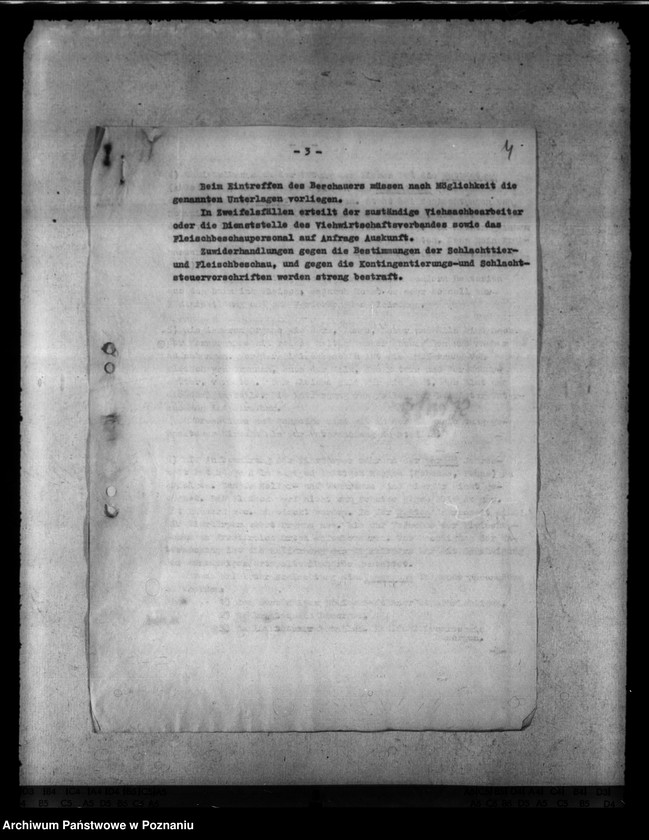 Obraz 8 z jednostki "Notschlachtungen"