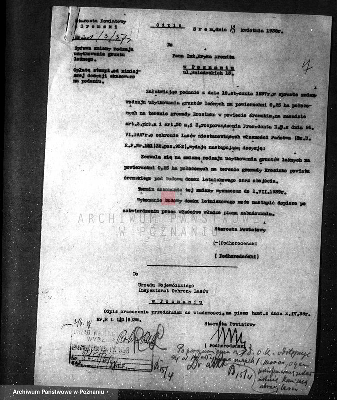 Obraz 11 z jednostki "/Zalesienie gruntów ornych/"