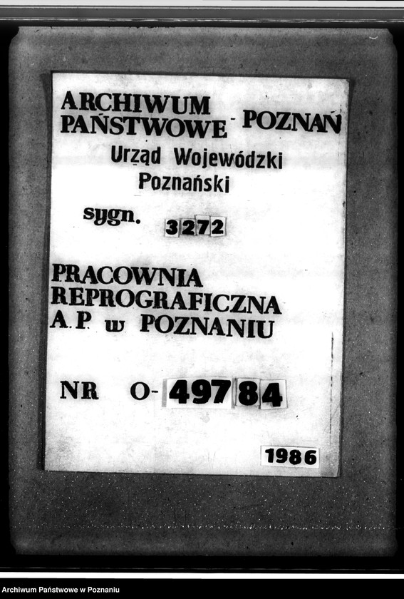 Obraz 14 z jednostki "Las majątku Strzelce-Wielkie w powiecie gostyńskim"