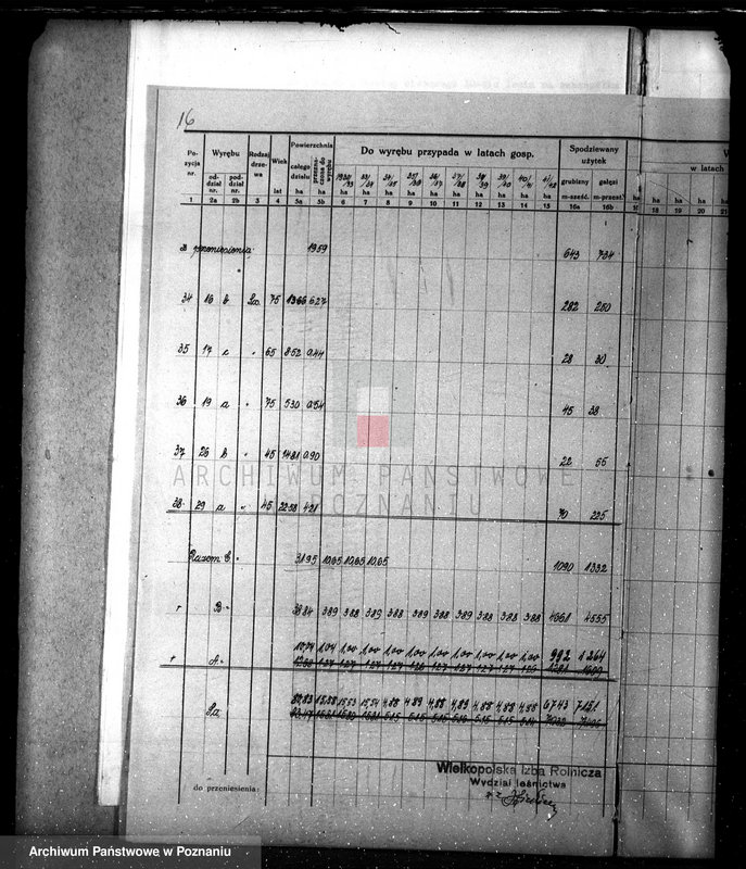 Obraz 20 z jednostki "Nadzór nad lasami/ majątku Lubasz powiatu czarnkowskiego"