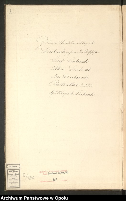 Obraz z jednostki "Sterbe-Neben-Register Standes-Amt Leubusch 1905"