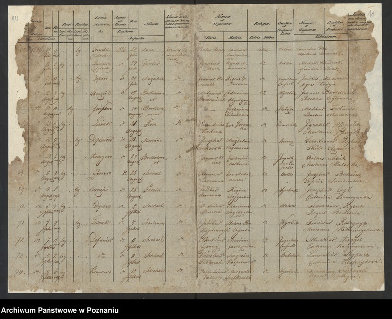 Obraz 8 z jednostki "Liber baptisatorum"