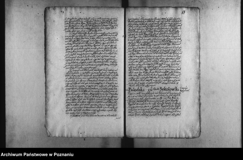 Obraz 17 z jednostki "Decreta [inducta]"