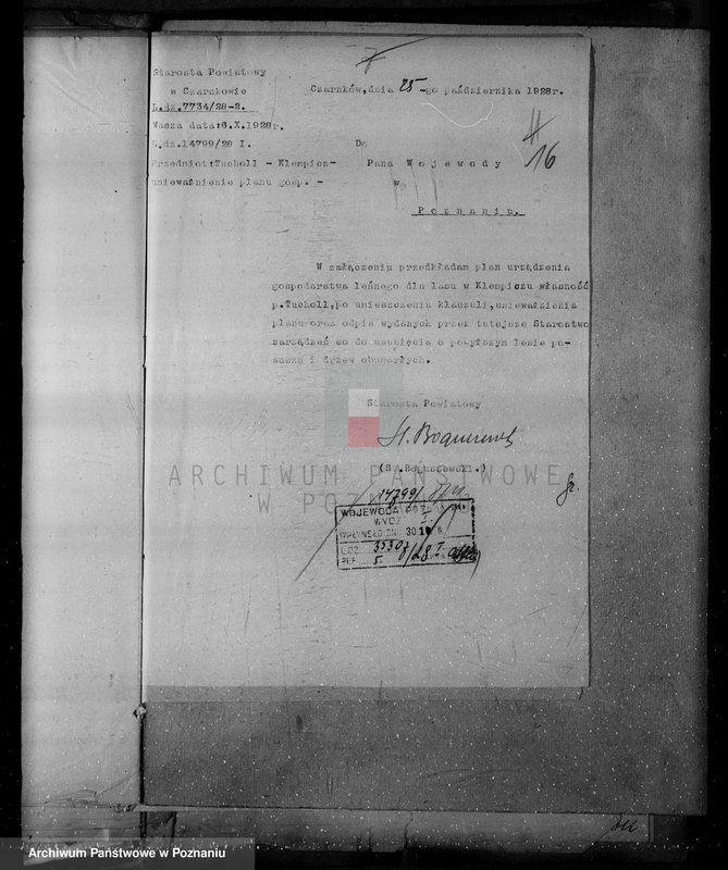 Obraz 20 z jednostki "Nadzór nad lasami/ majątku Klempicz powiatu czarnkowskiego"