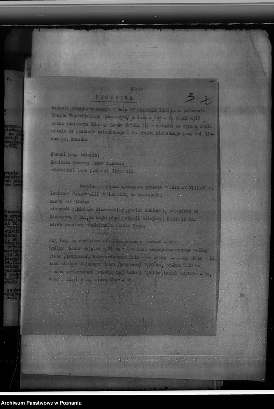 Obraz 7 z jednostki "Gmina Brzeźno powiat koniński /nadzór nad gospodarką leśną/"