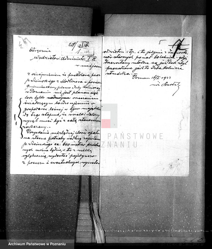 Obraz 8 z jednostki "Nadzór nad gospodarką w lasach majętności Modliszewo powiecie gnieźnieńskim"