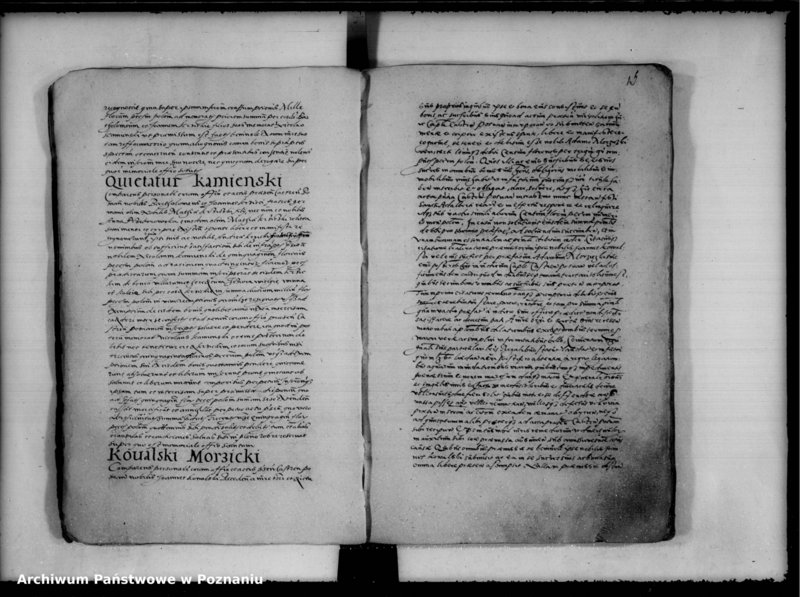 Obraz 20 z jednostki "Inscriptiones, relationes [inducta]"