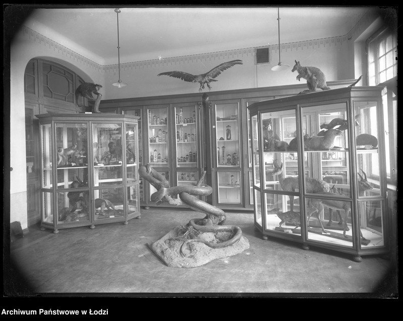 Obraz 2 z jednostki "[Pracownia zoologiczna - wnętrze]"