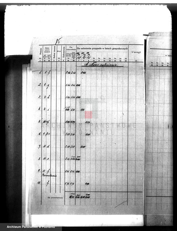 Obraz 19 z jednostki "Majętność leśna Drzeczkowo powiat leszczyński"