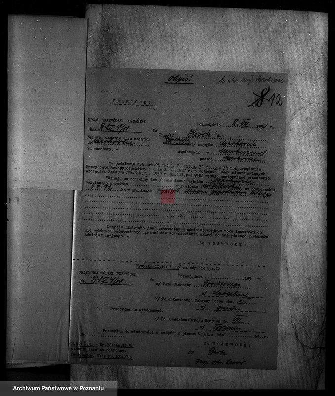 Obraz 17 z jednostki "Nadzór nad gospodarką w lasach majętności Markowice powiat mogileński"