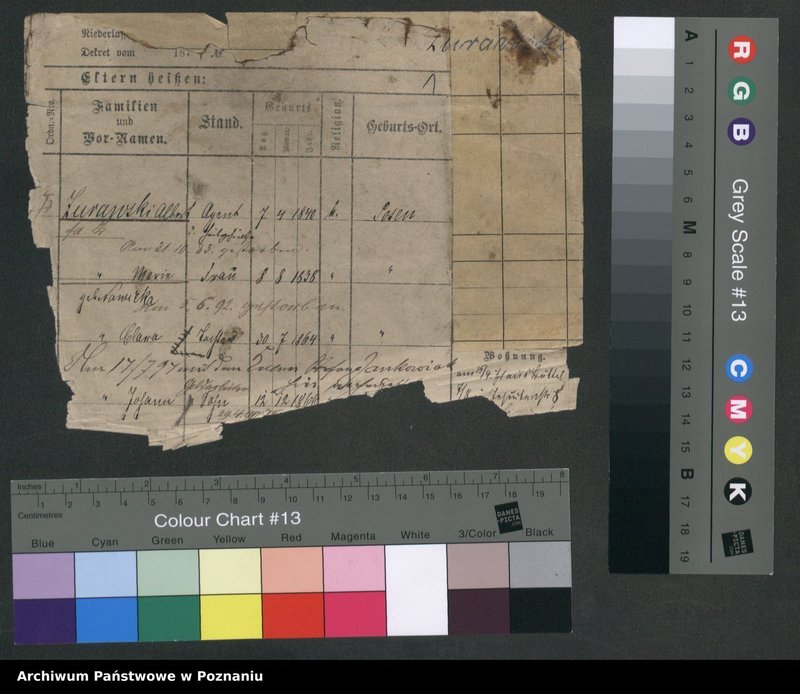 Obraz 3 z jednostki "Żurawski - Zwierzchlewski"