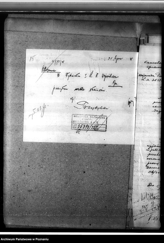 Obraz 19 z jednostki "Las fundacyjny Bodzewo w powiecie gostyńskim"