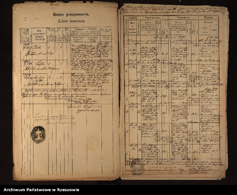 image.from.unit.number "Księga urodzeń, małżeństw i zgonów dla miejscowości Męcina Wielka, Rozdziele, Pstrążne, Wapienne"