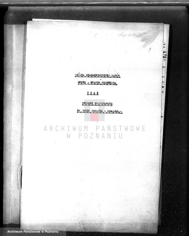Obraz 5 z jednostki "/Nadzór nad gospodarką leśną gminy miasta Czarnkowa"