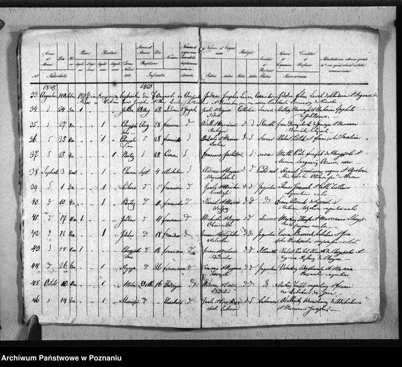Obraz 9 z jednostki "Duplikat baptisatorum, copulatorum, mortuorum"