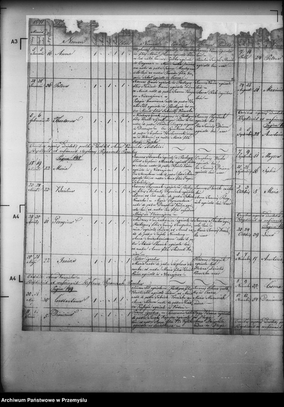 image.from.unit.number "[Kopie ksiąg metrykalnych parafii Rostajne z filiami Świątkówka i Żydowskie (dekanat Dukla)]"