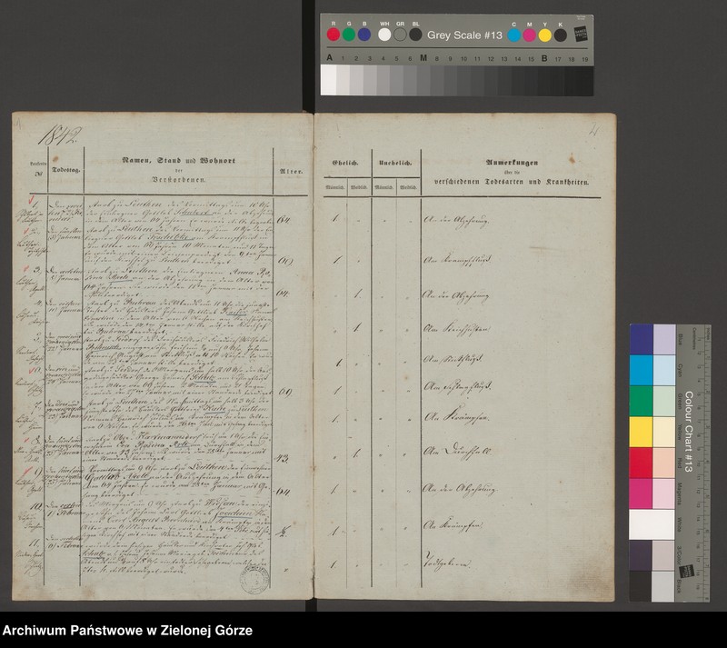 image.from.unit "[Księga zgonów parafii ewangelickiej w Witoszynie Dolnym]"