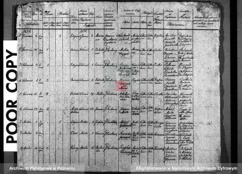 image.from.unit.number "Duplicatum baptisatorum, copulatorum, mortuorum"