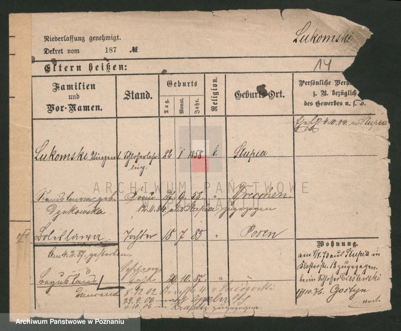 Obraz 14 z jednostki "Luke - Lulka"