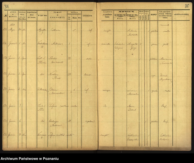 Obraz 20 z jednostki "Księga zgonów"