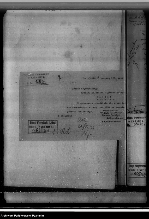 Obraz 11 z jednostki "Akta sprawy zalesienia nieużytków w powiecie konińskim"