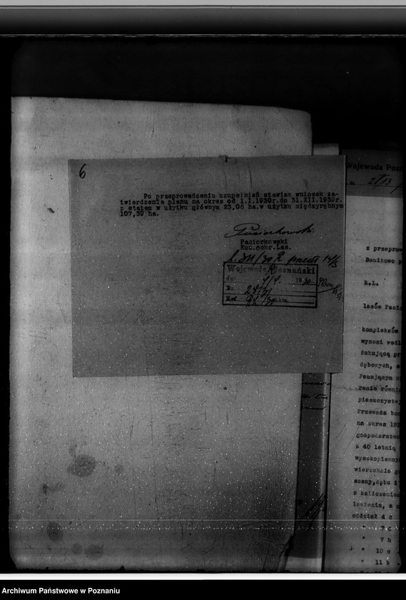 Obraz 10 z jednostki "Majętność leśna Bonikowo powiat kościański"