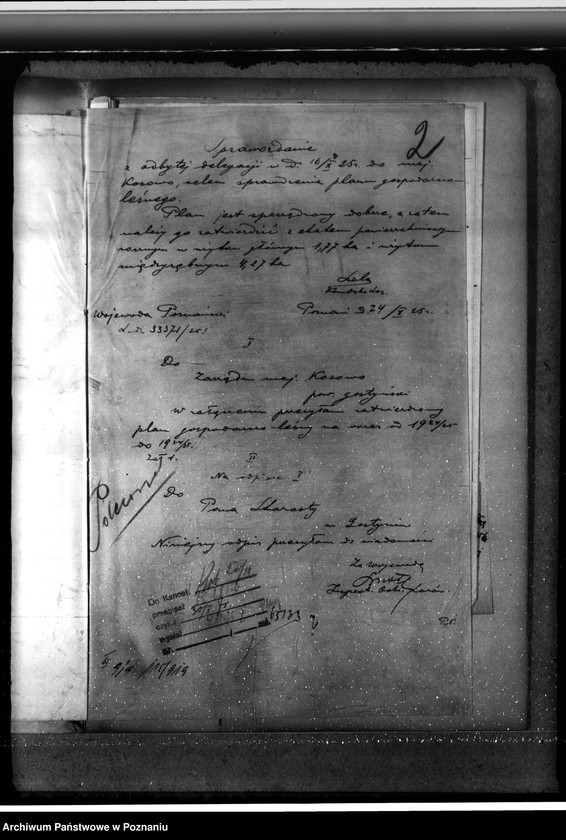 Obraz 6 z jednostki "Nadzór nad gospodarką w lasach majątku Kosowo w powiecie gostyńskim"