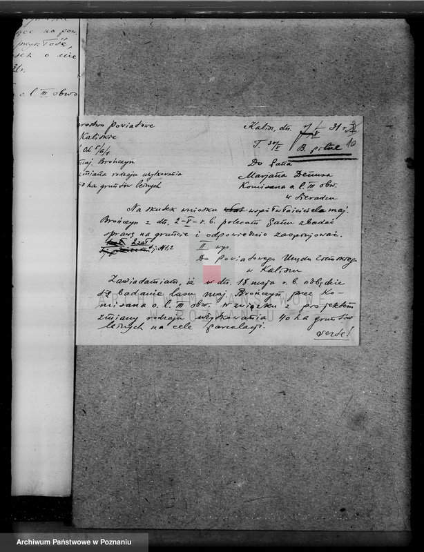 Obraz 14 z jednostki "Zmiana rodzaju użytkowania 40 ha gruntów leśnych w majątku Brańczyn w powiecie kaliskim"