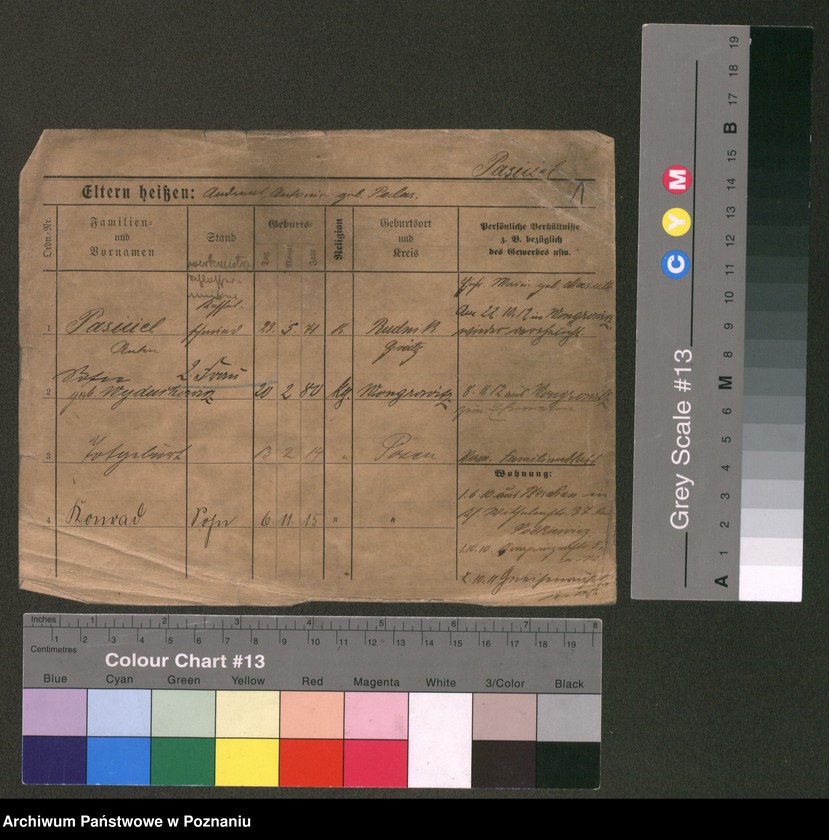 Obraz 3 z jednostki "Pasiciel - Paszkiewicz"