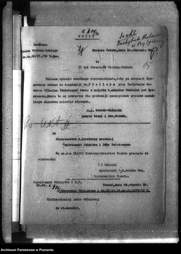 Obraz 19 z jednostki "Instytut Higieny Zwierząt w Bydgoszczy"