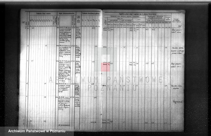 image.from.unit.number "Plan urządzenia gospodarstwa leśnego dla lasu majętności Rudki w powiecie szamotulskim 1929-1939"