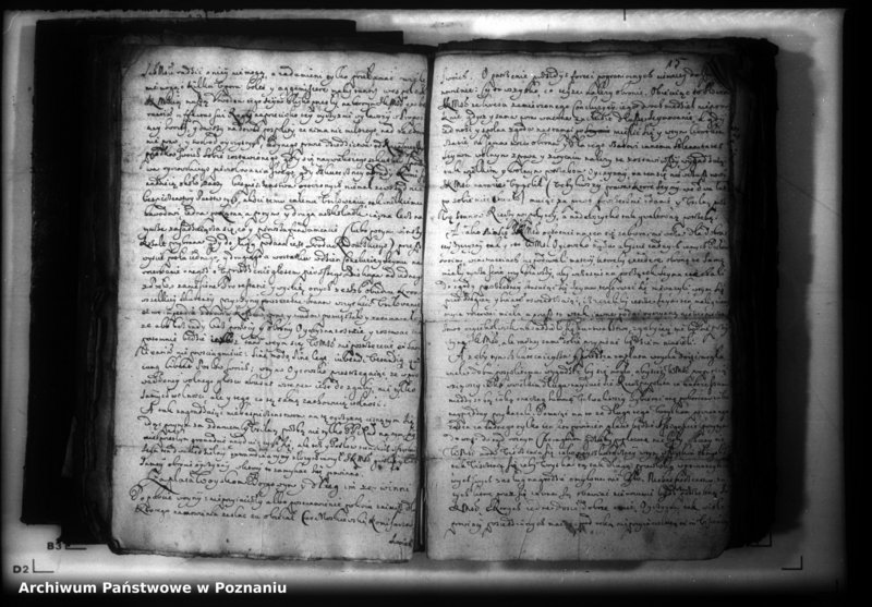 Obraz 18 z jednostki "Lauda [acticantia]"