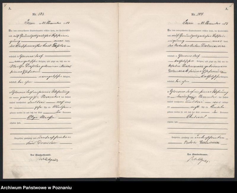 Obraz 5 z jednostki "Księga urodzeń tom II"