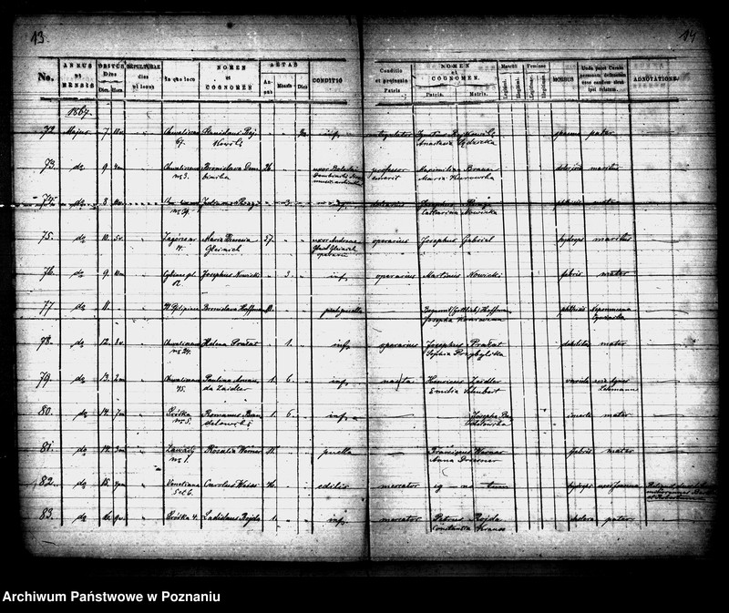 Obraz 8 z jednostki "Księga zgonów"