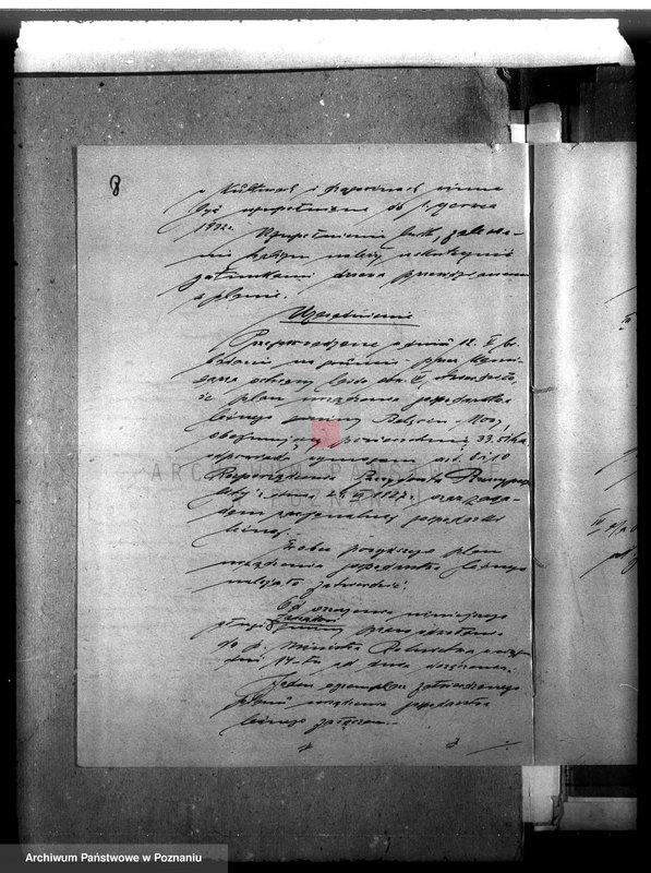 Obraz 12 z jednostki "Las gromady Belęcin-Nowy powiat leszczyński"