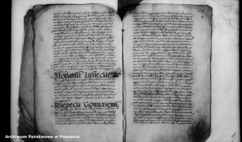 Obraz 9 z jednostki "Inscriptiones [inducta]"