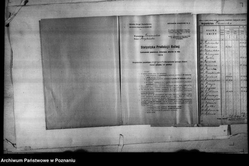 Obraz 11 z jednostki "/Statystyka produkcji rolnej - zestawienie powiatowe - Mogilno/"