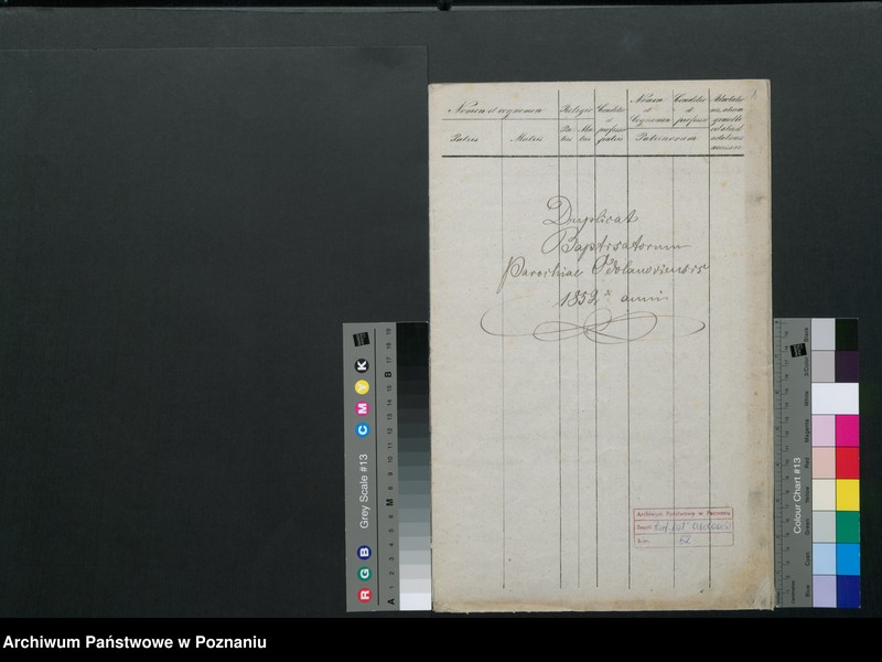 Obraz z jednostki "Duplikat baptisatorum"