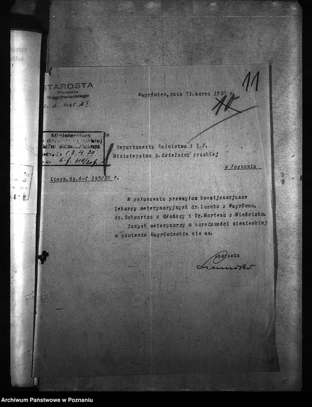 Obraz 15 z jednostki "[weterynarze narodowości niemieckiej]"