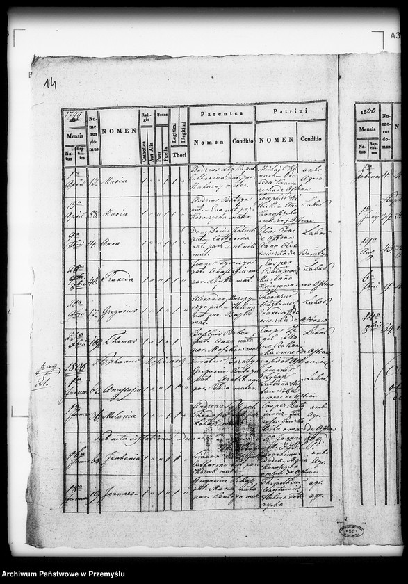 Obraz 18 z jednostki "[Kopie ksiąg metrykalnych parafii Boratyn z filią Ostrów (dekanat Bełz)]"