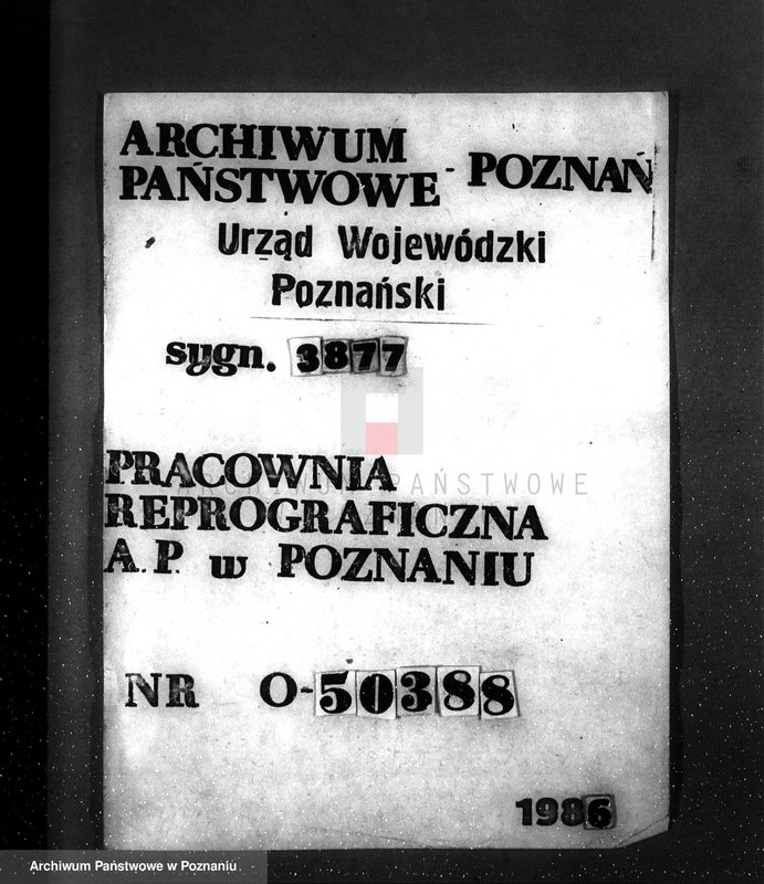 Obraz 1 z jednostki "Nadzór nad gospodarką w lasach majętności Tulce powiat średzki"