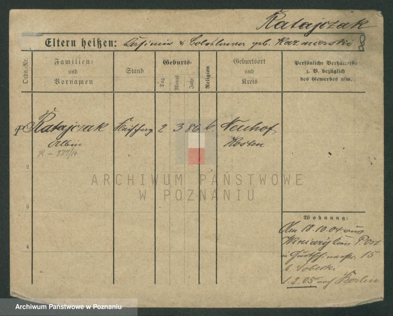 Obraz 10 z jednostki "Ratajczak (żonaci) - Ratajczyk"