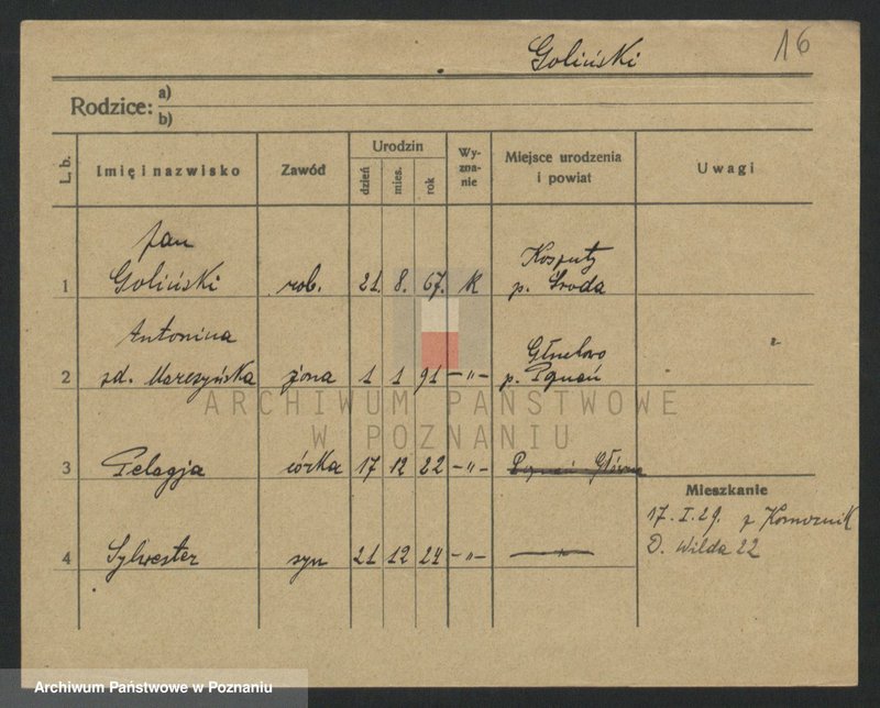 Obraz 18 z jednostki "Goldrat - Goliwas"