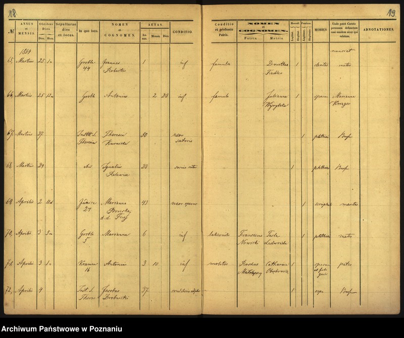 Obraz 12 z jednostki "Księga zgonów"