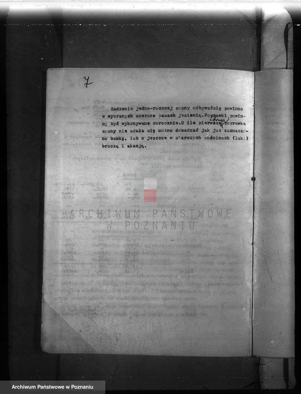 Obraz 10 z jednostki "Majętność leśna Ławica w powiecie międzychodzkim /plan urządzenia gospodarstwa leśnego/"