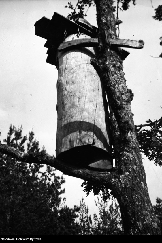 image.from.collection.number "Bartnictwo że Ho! Ho!111"