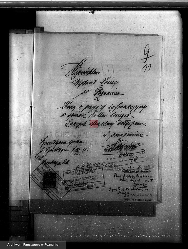 Obraz 15 z jednostki "Majętność leśna Kociałkowo powiat poznański"